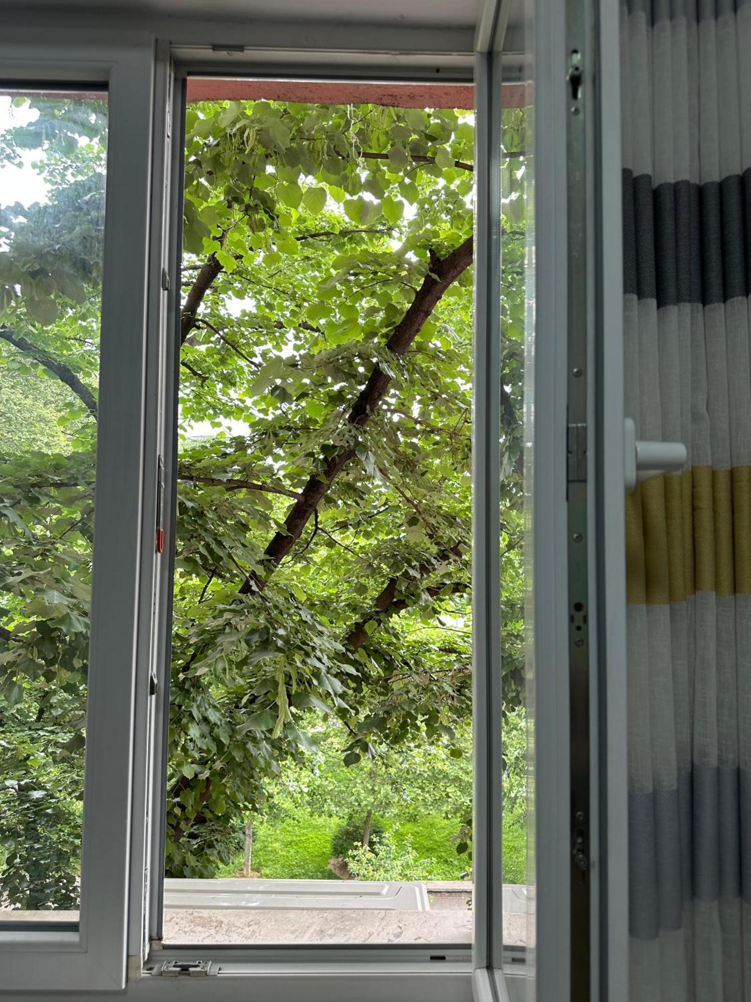Kelly'S Cozy Hideaway - Central Tirana Exterior foto